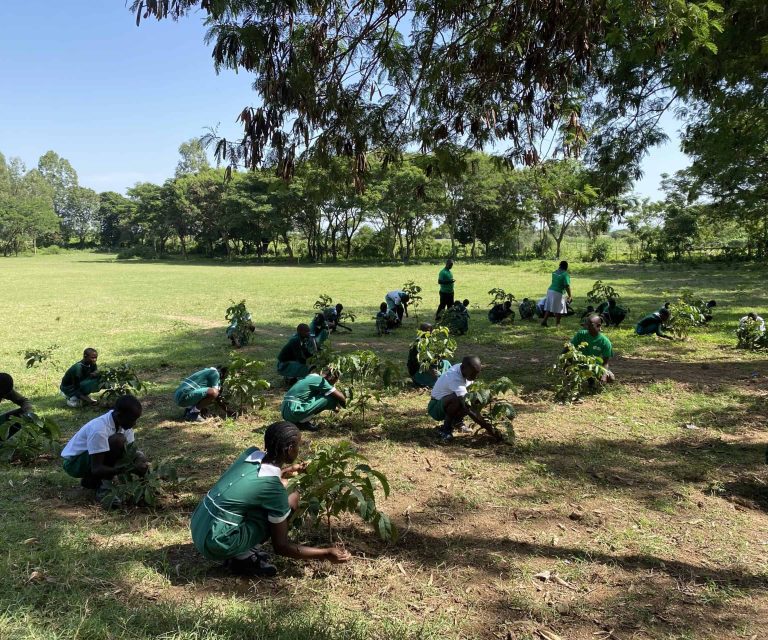 TREE PLANTING DAY